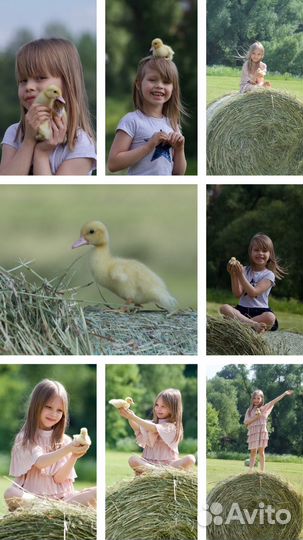 Фотограф детский, семейный, предметный