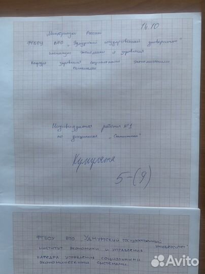 Индивидуальная работа по статистике/экономика