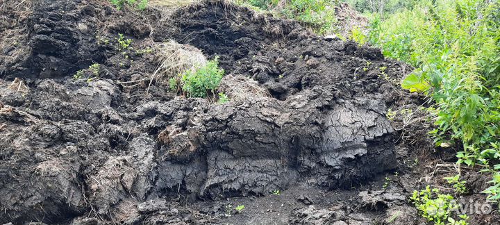 Земля перегной навоз с доставкой 5 тонн