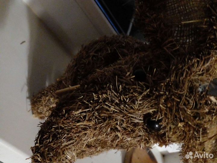 Кашпо. Слоник. Из натуральных материалов