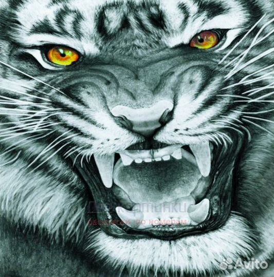 Алмазная мозаика 30x30 Черно-белый тигр с янтарным