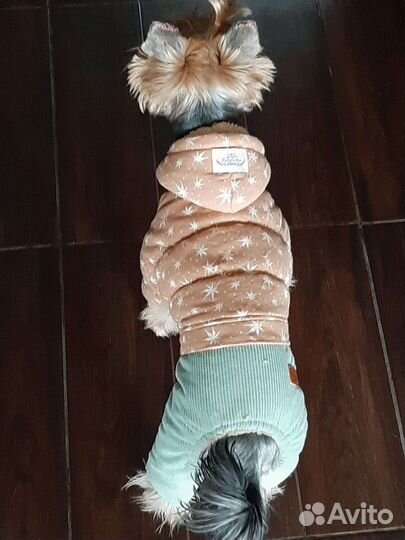 Комбинезон для собак