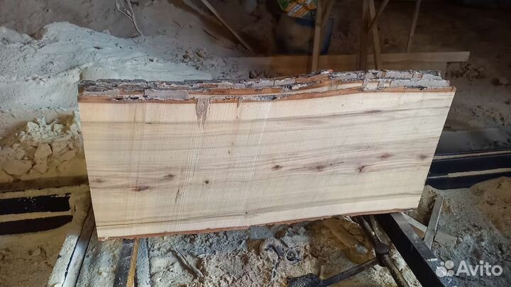 Слэб дерева и спилы