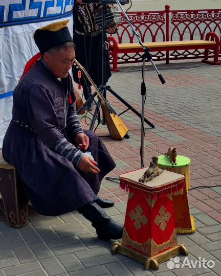 Элиста поездка тур сентябрь октябрь до 12 чел