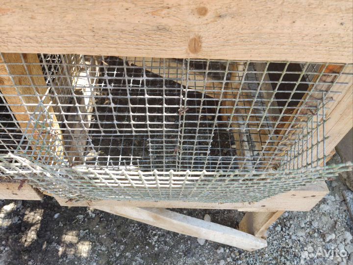 Клетка для кролика