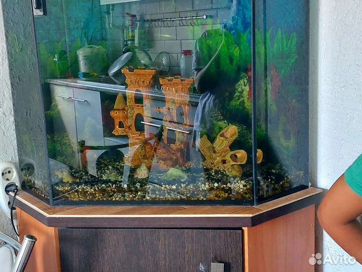 Аквариум