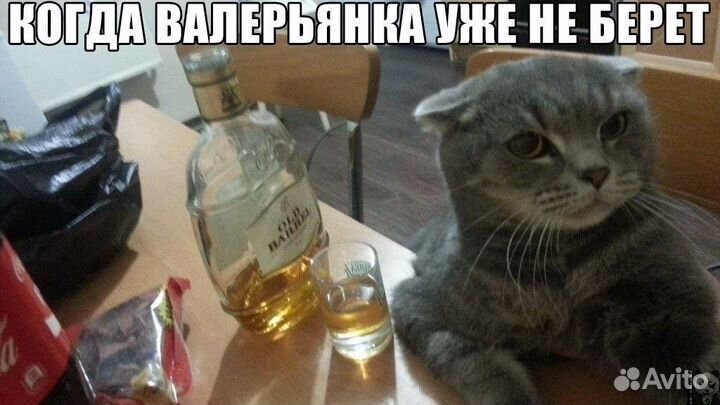 Гигиеническая стрижка, кастрация