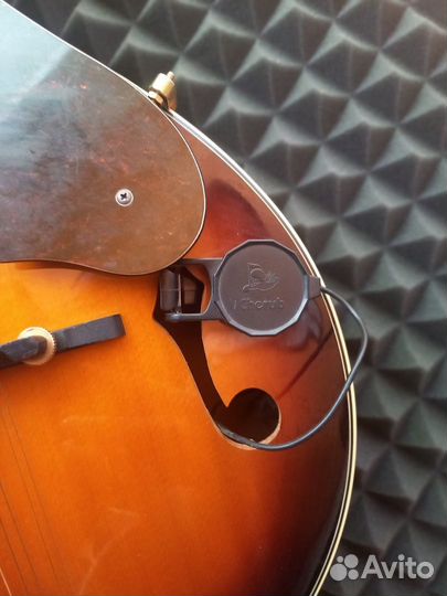 Мандолина Fender FM-53S