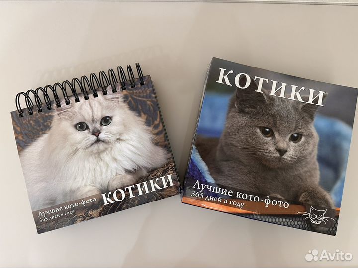 Календарь на каждый год с фотографиями кошек