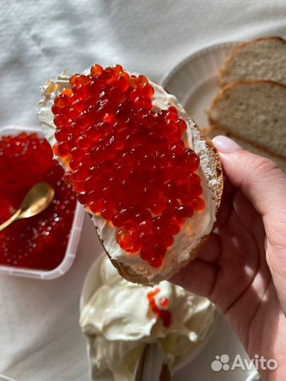 Красная икра 2023
