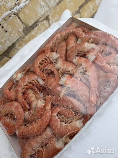 Лангустины креветки