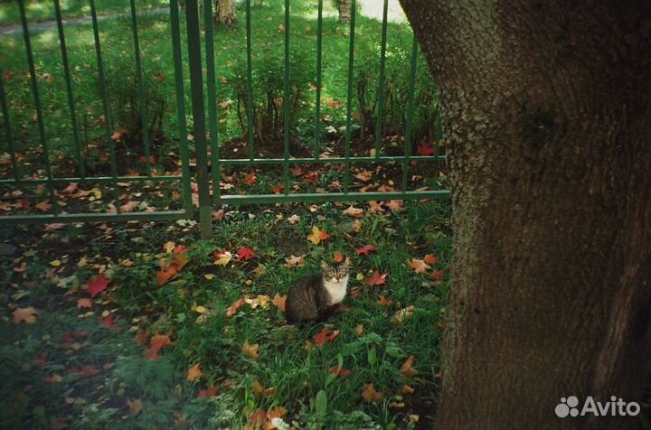 Пленочный фотоаппарат Rivera RK-525