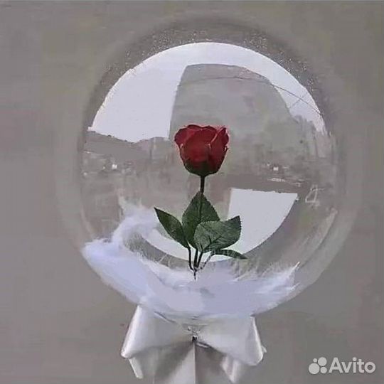 Роза живая в прозрачном шаре 45см