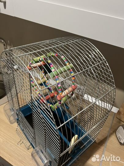 Клетка для попугая