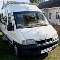 FIAT Ducato 2.3 MT, 2010, 174 560 км, с пробегом, цена 870 000 руб.