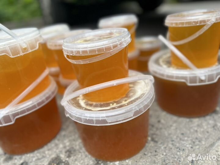 Мед этого года 2024