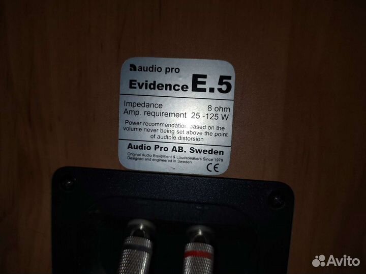Акустические колонки Audio Pro Evidence Е.5