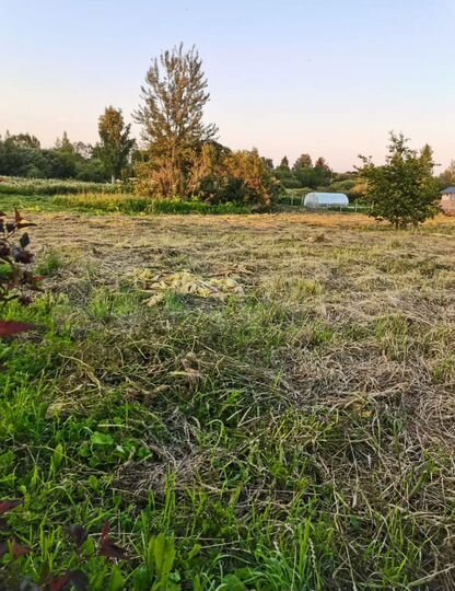 Участок 14,9 сот. (ИЖС)