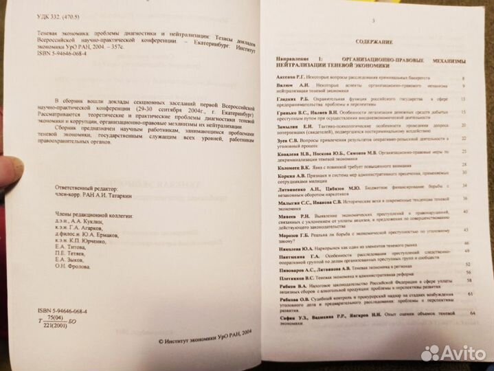 Теневая экономика: пробл. диагностики 2004г урфу