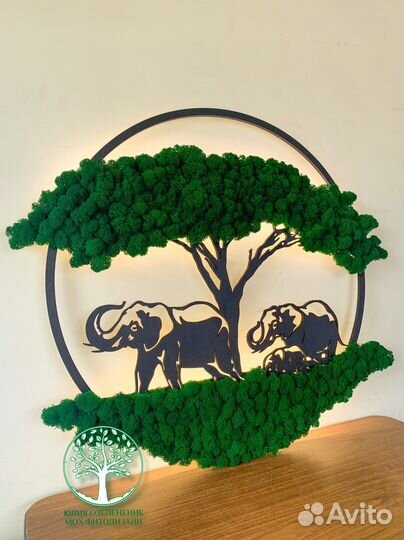 Панно картина фитостена панель стабилизирован мох