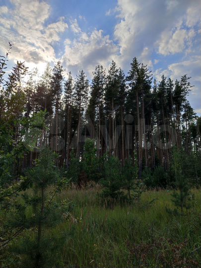 Участок 15 сот. (СНТ, ДНП)