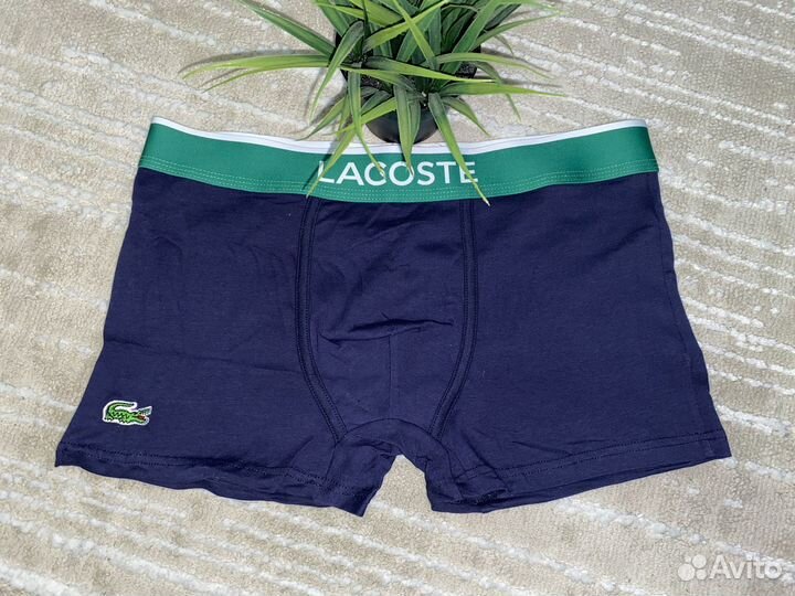 Боксеры lacoste