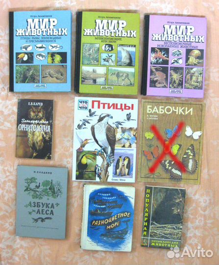 Детские познавательные книги