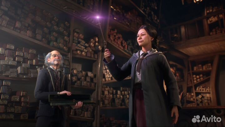 Hogwarts Legacy (PS4/PS5)