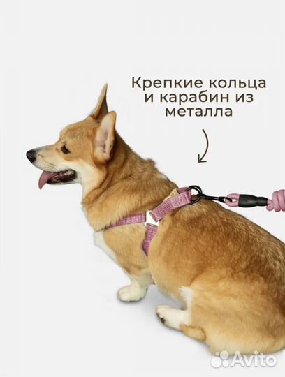 Шлейка для собак Новая