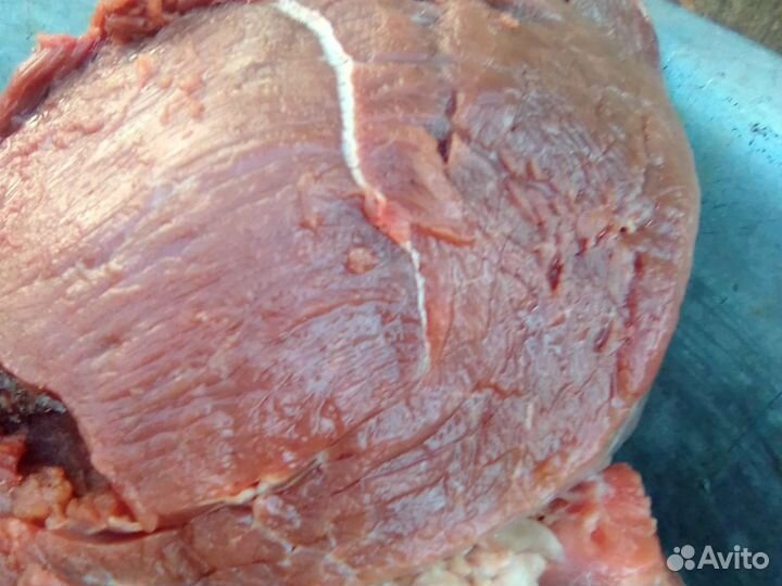 Мясо говядина домашняя