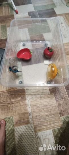 Клетка для грызунов