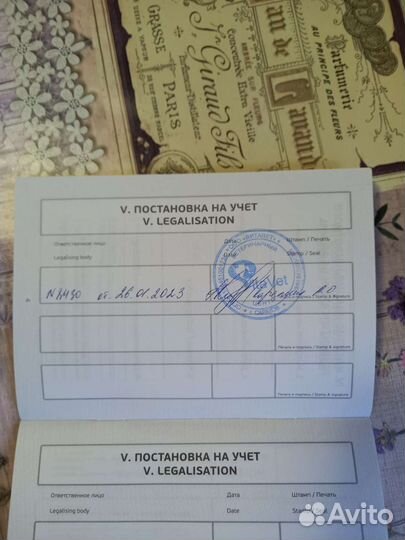 Собака турецкий алабай, щенок 8 месяцев