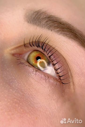 Ламинирование ресниц/Оформление бровей/Обучение