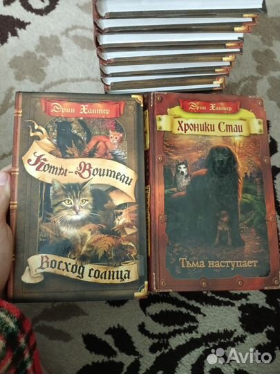 Коты воители и Хроники стаи