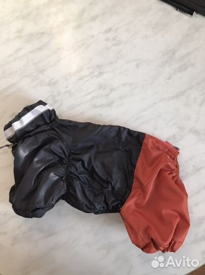 Одежда для собак