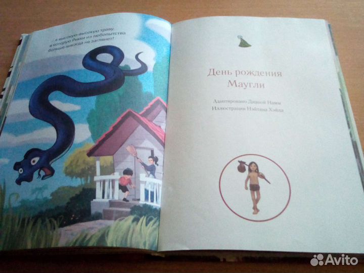 Книга джунглей