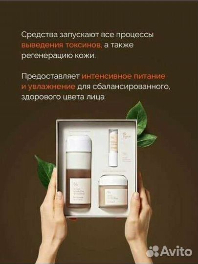 Комбуча 3в1 Dr Ceuracle