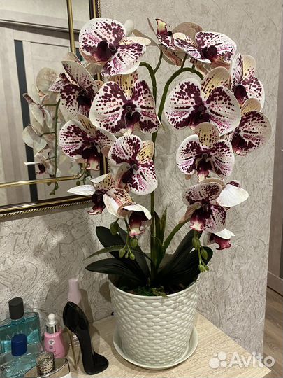 Подарок на 8 марта