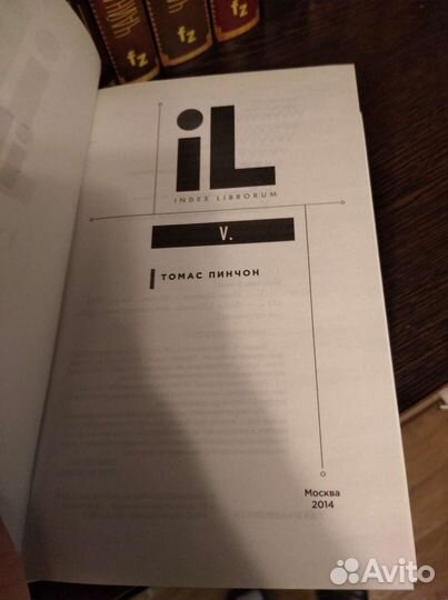 Томас Пинчон V