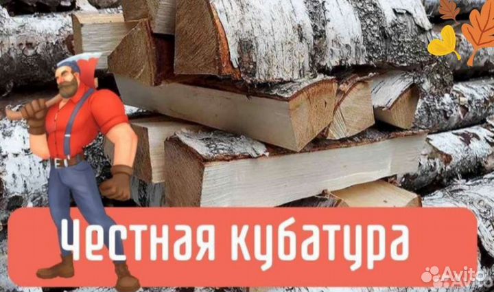 Дрова колотые береза