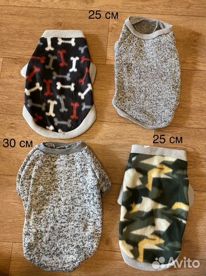 Одежда для собак мелких пород