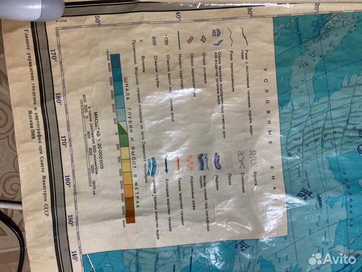 Физическая карта мира на стену