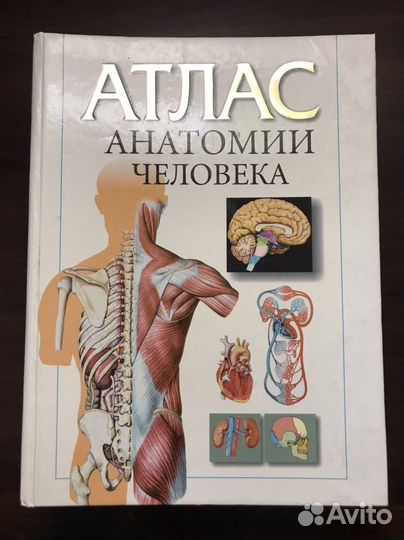 Атлас Анатомии Воробьев