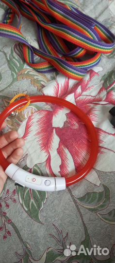 Ошейник для собак