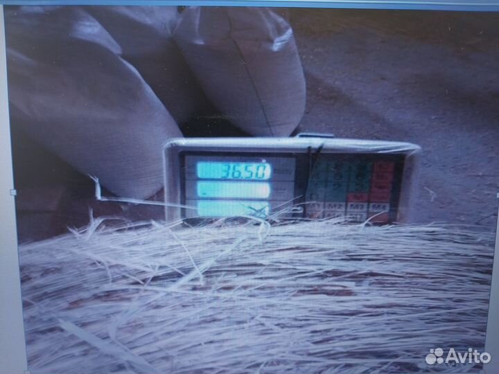 Корма для животных оптом