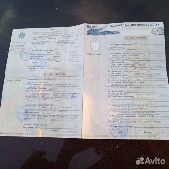 Матоллер муравей