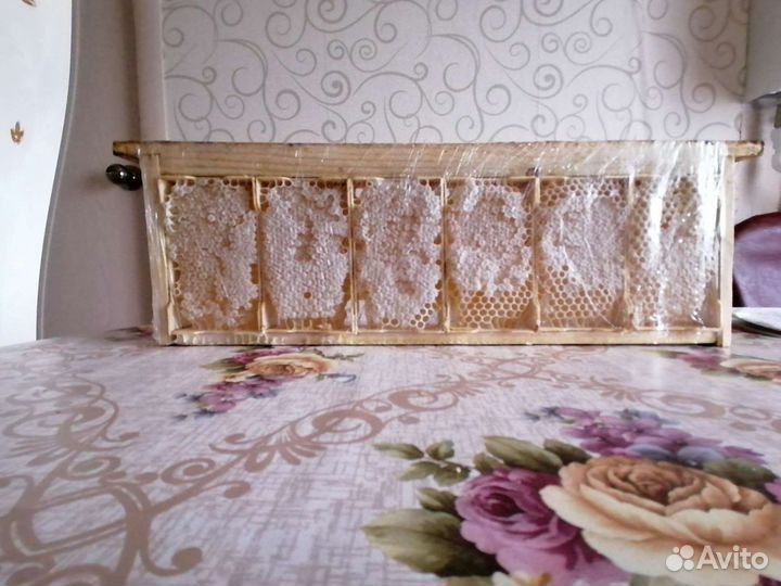 Мед 2023, прополис и др. продукты пчеловодства