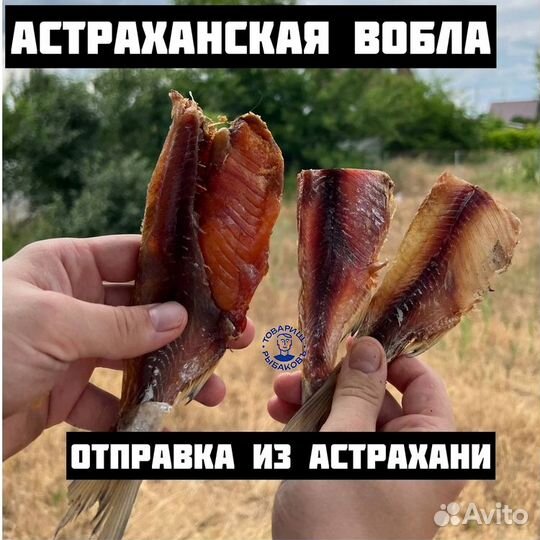 Астраханская вобла