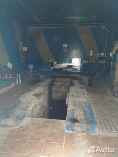 Сдам в аренду сто
