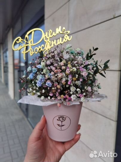 Коробка с цветами гипсофила букет